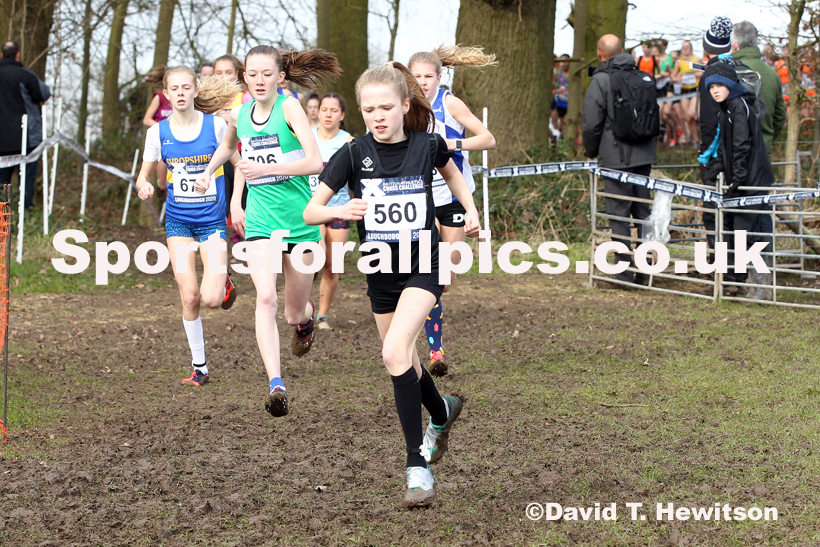 Girls under-13s, 2020 British Athletics Inter Counties Cross Country Champs., Prestwold Hall, Loughborough. Photo: David T. Hewitson/Sports for All Pics
